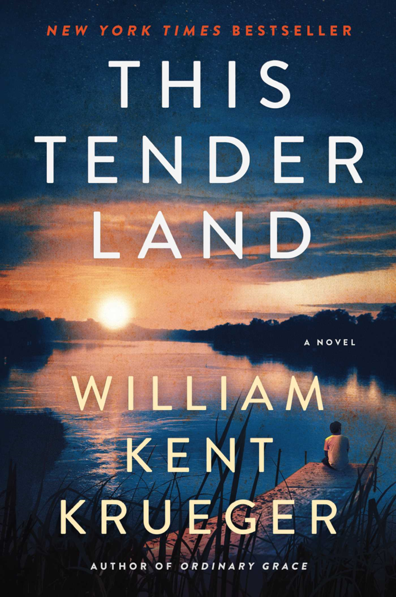 Book cover This Tender Land